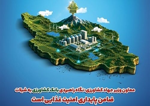 معاون وزیر جهاد کشاورزی: نگاه راهبردی بانک کشاورزی به شیلات، ضامن پایداری امنیت غذایی است